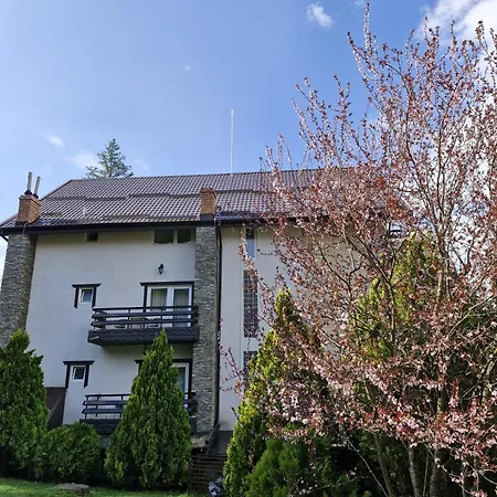Piatra Soimului 3*