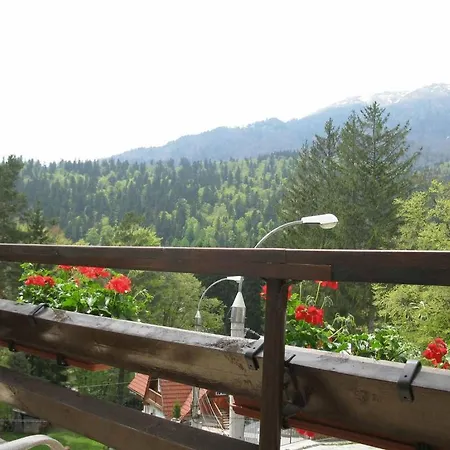 Piatra Soimului