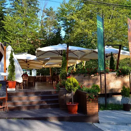 Piatra Soimului Sinaia